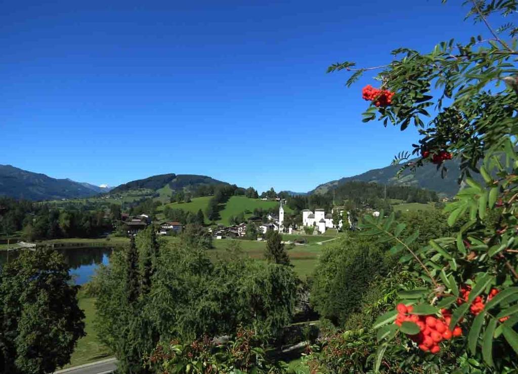 Bio-Bauernhof Reitmayrgut Goldegg Buitenkant foto